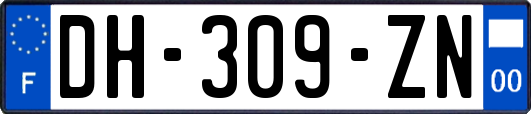 DH-309-ZN