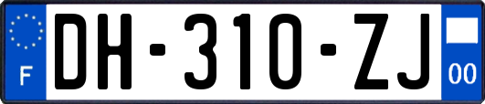 DH-310-ZJ