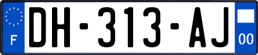 DH-313-AJ