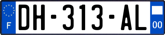 DH-313-AL