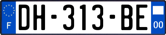 DH-313-BE