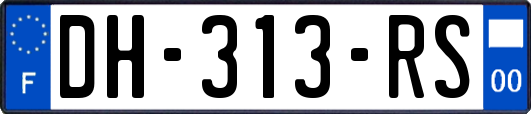 DH-313-RS