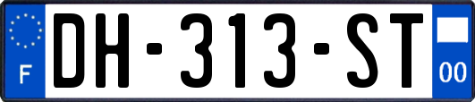 DH-313-ST