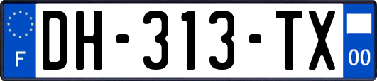 DH-313-TX