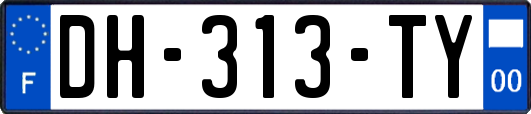 DH-313-TY