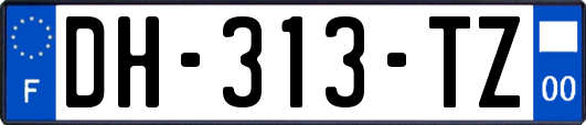 DH-313-TZ