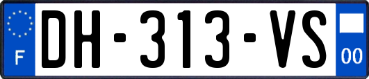 DH-313-VS