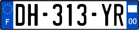 DH-313-YR