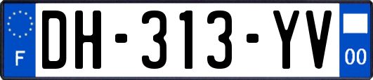 DH-313-YV