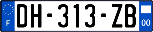 DH-313-ZB