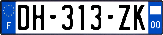 DH-313-ZK