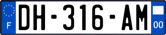 DH-316-AM