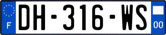 DH-316-WS