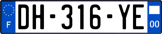 DH-316-YE