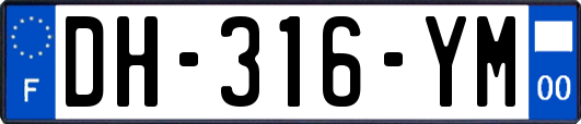 DH-316-YM