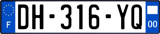 DH-316-YQ
