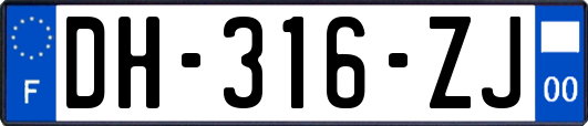 DH-316-ZJ