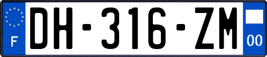 DH-316-ZM