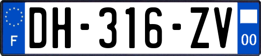 DH-316-ZV