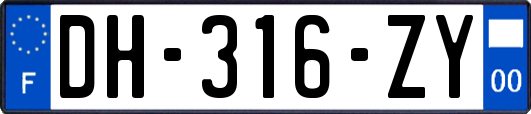 DH-316-ZY