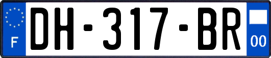 DH-317-BR