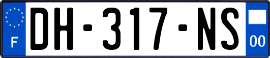 DH-317-NS
