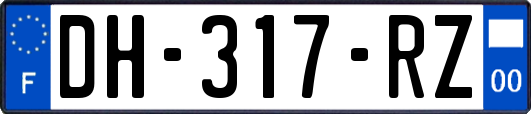 DH-317-RZ