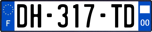 DH-317-TD