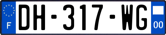 DH-317-WG