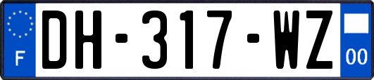 DH-317-WZ