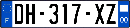 DH-317-XZ