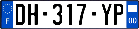 DH-317-YP