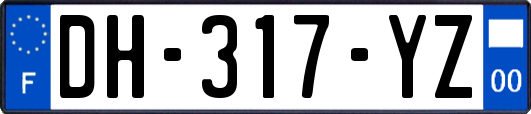 DH-317-YZ