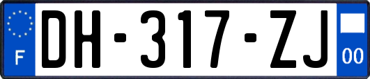 DH-317-ZJ