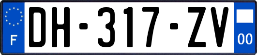 DH-317-ZV