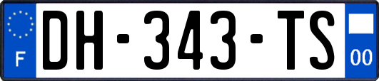 DH-343-TS