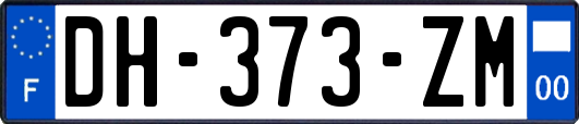 DH-373-ZM