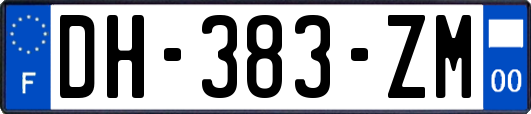 DH-383-ZM