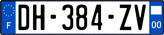 DH-384-ZV