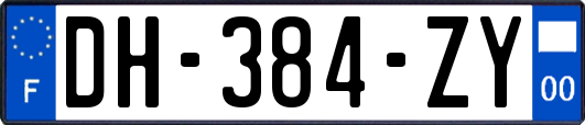 DH-384-ZY