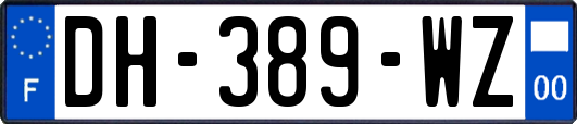 DH-389-WZ