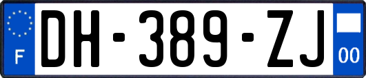 DH-389-ZJ