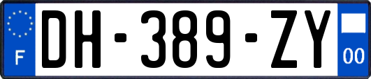 DH-389-ZY