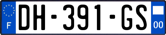 DH-391-GS