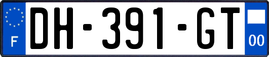 DH-391-GT