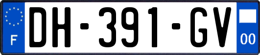 DH-391-GV