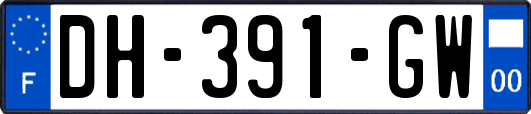 DH-391-GW