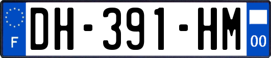 DH-391-HM