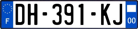 DH-391-KJ
