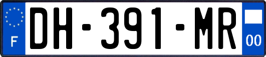 DH-391-MR